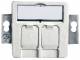 Telegärtner 100021416 H02010A0081 module Recording 50x50, 2-UP50 f.BR 45 ° outlet