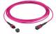 LWL-MTP®-Female Patchkabel OM4 LowLoss, 12 Faser, Typ B crossed, erika-violett, 15m