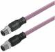 Weidmüller SAIL-M12GM12G-PB-0.25D bus cable M12/M12 2p 0.25m 1873310025