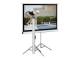 Elite Screens T100UWV1
