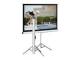 Elite Screens T100UWV1