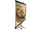 Elite Screens T100UWV1