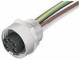 Murrelektronik 7000-78381-9780050 7/8 socket, 5-pin 0.5 978 m wire HAWA