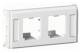 Schneider Electric 5971884 Schneider Montageplatte mit Schriftfeld Panduit 2XMini/opto-JACK