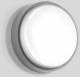 BEGA 33523AK4 ceiling and wall light silver 4000K