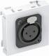 OBO Bettermann 6105252 OBO MTG-X3F S SWGR1 Multimediaträger XLR 3-p Buchse mit Schraubanschl 
