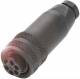 Balluff BCC A335-0000-10-000-71X5A5-000 connector BCC070H