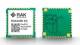 RAK Wireless 305007