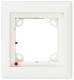 Mobotix MX-OPT-Frame-1-EXT-DG