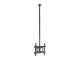 Equip ceiling mount 81,3 cm ( 32 inch )-177,8 cm ( 70 inch )/1TFT 50kg 1 joint tilt. sw