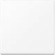 Jung A594-0PLWWM blind cover without support ring