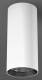 RZB 931202.002 HELEDON mini, 20 W, 2450 lm, 930, ws, surface-mounted downlights