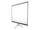 Elite Screens T85NWS1