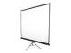 Elite Screens T85NWS1