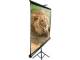 Elite Screens T85NWS1