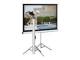 Elite Screens T85NWS1