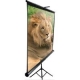 Elite Screens Stativ 16:9 203*114cm Tripod schwarz