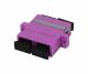 Synergy 21 S216370V2/S216315V2/24xS215449