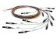 Telegärtner 100011255 L00859A0008 pigtail- Set, 9 / 125µ 12 colors connector E2000